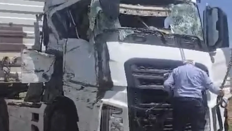 Arapgir’de Hayvan Yüklü Tır Devrildi: 100 Küçükbaş Hayvan Telef Oldu, Sürücü ve Çoban Yaralı