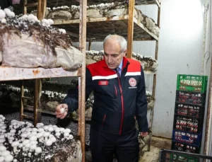 Akçadağ’da Modern Mantar Tesisi: Kırsal Kalkınmaya Katkı