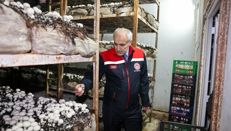 Akçadağ’da Modern Mantar Tesisi: Kırsal Kalkınmaya Katkı