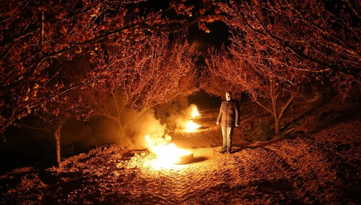 Kayısı Tomurcukları Don Tehdidi Altında: Malatya’da Üreticiler Bahçelerde Nöbette