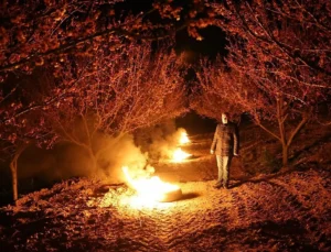 Malatya Kayısısı Don Tehlikesiyle Karşı Karşıya: Üreticiler ve Ekipler Gece Boyu Sahada
