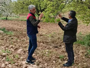 Malatya’da Dolu Zararı İçin Kapsamlı Hasar Tespiti Başladı