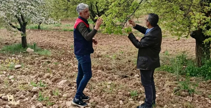 Malatya’da Dolu Zararı İçin Kapsamlı Hasar Tespiti Başladı