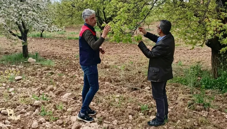 Malatya’da Dolu Zararı İçin Kapsamlı Hasar Tespiti Başladı