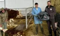 Malatya’da Buzağı Sağlığını Güçlendiren “Yaşasın Buzağılar” Projesi Başladı