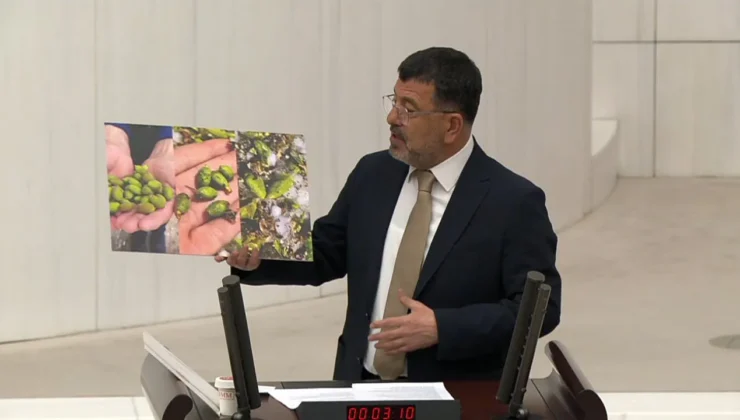 Malatya Kayısısı Doludan Kırıldı: Veli Ağbaba Meclis’te Fotoğraflarla Tepki Gösterdi