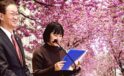 Kırşehir’de Sakura Esintisi: Japon Büyükelçi de Festivaldeydi
