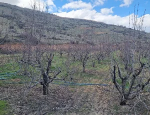 Mollakasım’da Tarım Arazileri İmara Açıldı, Halk Tepkili
