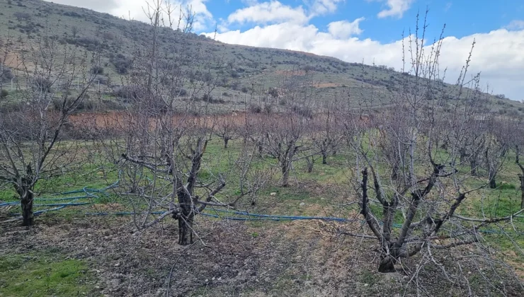 Mollakasım’da Tarım Arazileri İmara Açıldı, Halk Tepkili