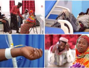 Sıtma Salgını Dünyayı Tehdit Ediyor: 610 Bin Can Kaybı