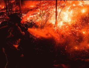 Japonya’da Orman Yangınları: 700 Hektar Kül Oldu, 3 Bin Kişi Tahliye Edildi