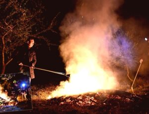 Zirai Don Tehdidi Ülke Genelinde Tarımsal Üretimi Risk Altına Soktu
