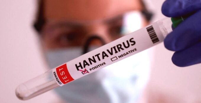 Hantavirüs Yükselişte: İklim Değişikliği Baş Şüpheli Mi?