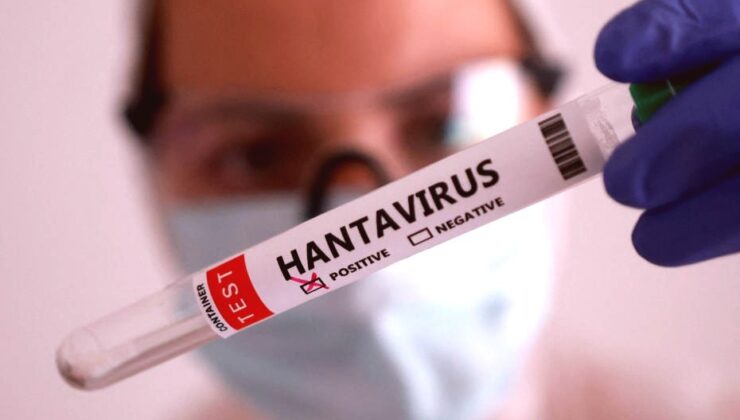 Hantavirüs Yükselişte: İklim Değişikliği Baş Şüpheli Mi?