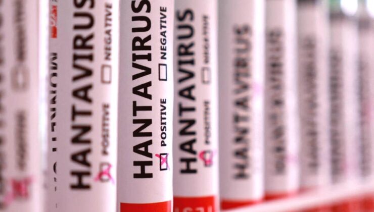 Hantavirüs Endişesi Azalıyor: Hollandalı Kabin Memurunda Test Negatif Çıktı