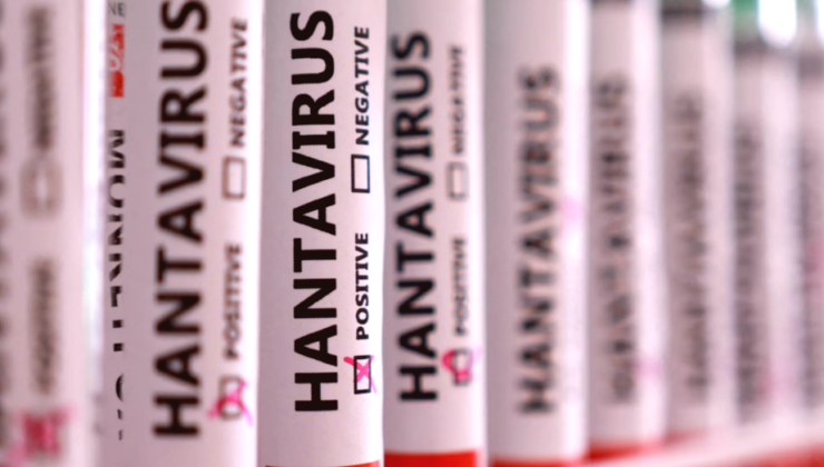 Hantavirüs Tehdidi: Hangi Meslekler Daha Çok Risk Altında?