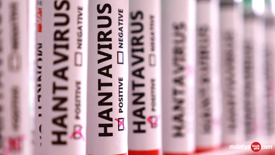 Hantavirüs Tehdidi: Hangi Meslekler Daha Çok Risk Altında?