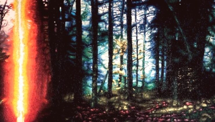İstanbul Sanat Sahnesine Yeni Bir Soluk: Lee Art Project Açılıyor