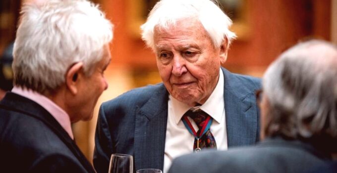Doğa Belgesellerinin Efsanevi Sesi David Attenborough 100 Yaşında