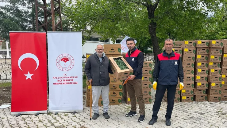 Malatya’da Çiftçiye 62 Bin Sebze Fidesi Desteği