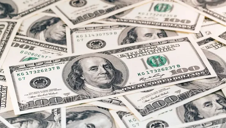 Malatya Ekonomisi Dolar Hareketliliğinde: 45,24 TL Üreticiyi Zorluyor
