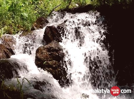Trabzon’da 300 Yıllık Doğa Mucizesi: Yazın Buz Gibi Kışın Ilık Akıyor