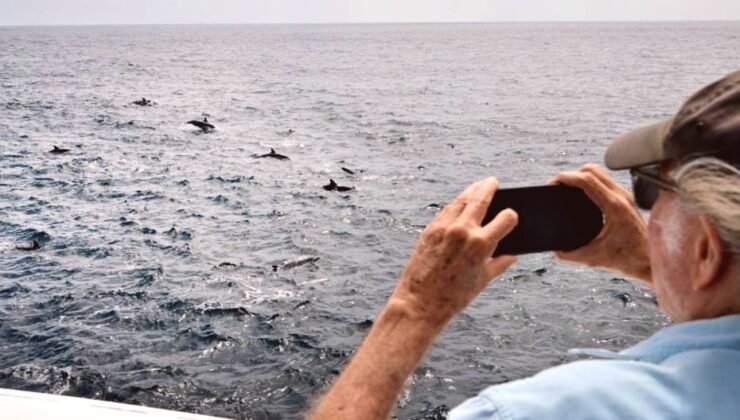 Okyanuslarda alarm zilleri: Aşırı ısınma deniz ekosistemini dönüştürüyor