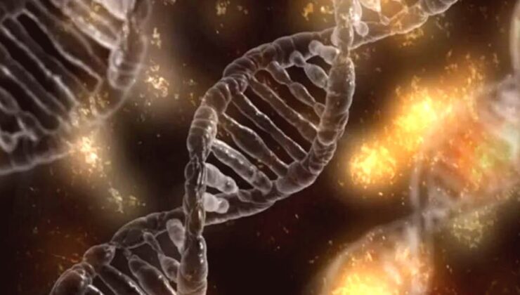 Çin’de tartışmalı gen terapisi sonrası çocuk ölümü soruşturması