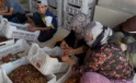 Malatya Kayısısında Fiyat Krizi: Üretici Zararına Satışa Zorlanıyor