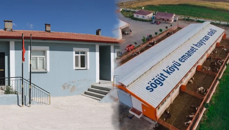 Malatya Hekimhan’da Yeni Hayvancılık Modeli: Gurbetçilerin Dönüş Sorunu Çözüldü
