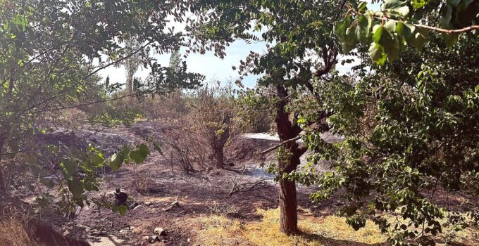 Malatya’da Çifte Yangın Alarmı: Tarım Arazileri ve Bahçeler Zarar Gördü