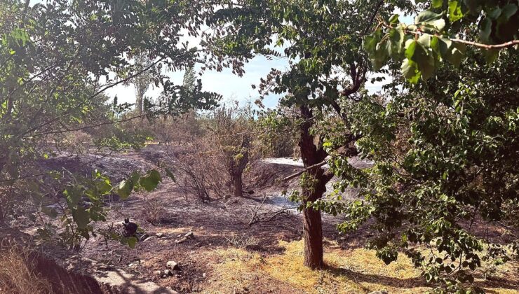 Malatya’da Çifte Yangın Alarmı: Tarım Arazileri ve Bahçeler Zarar Gördü