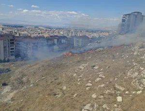 Malatya’da Kuru Ot Yangını Korku Dolu Anlar Yaşattı